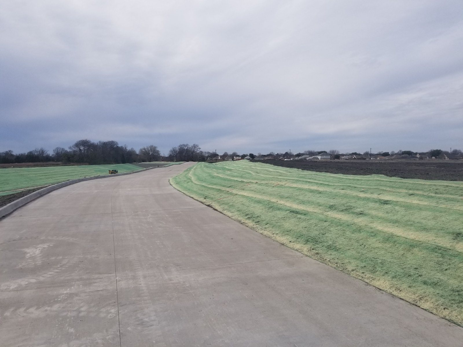 Curlex-style erosion control blankets anchored over a seeded slope