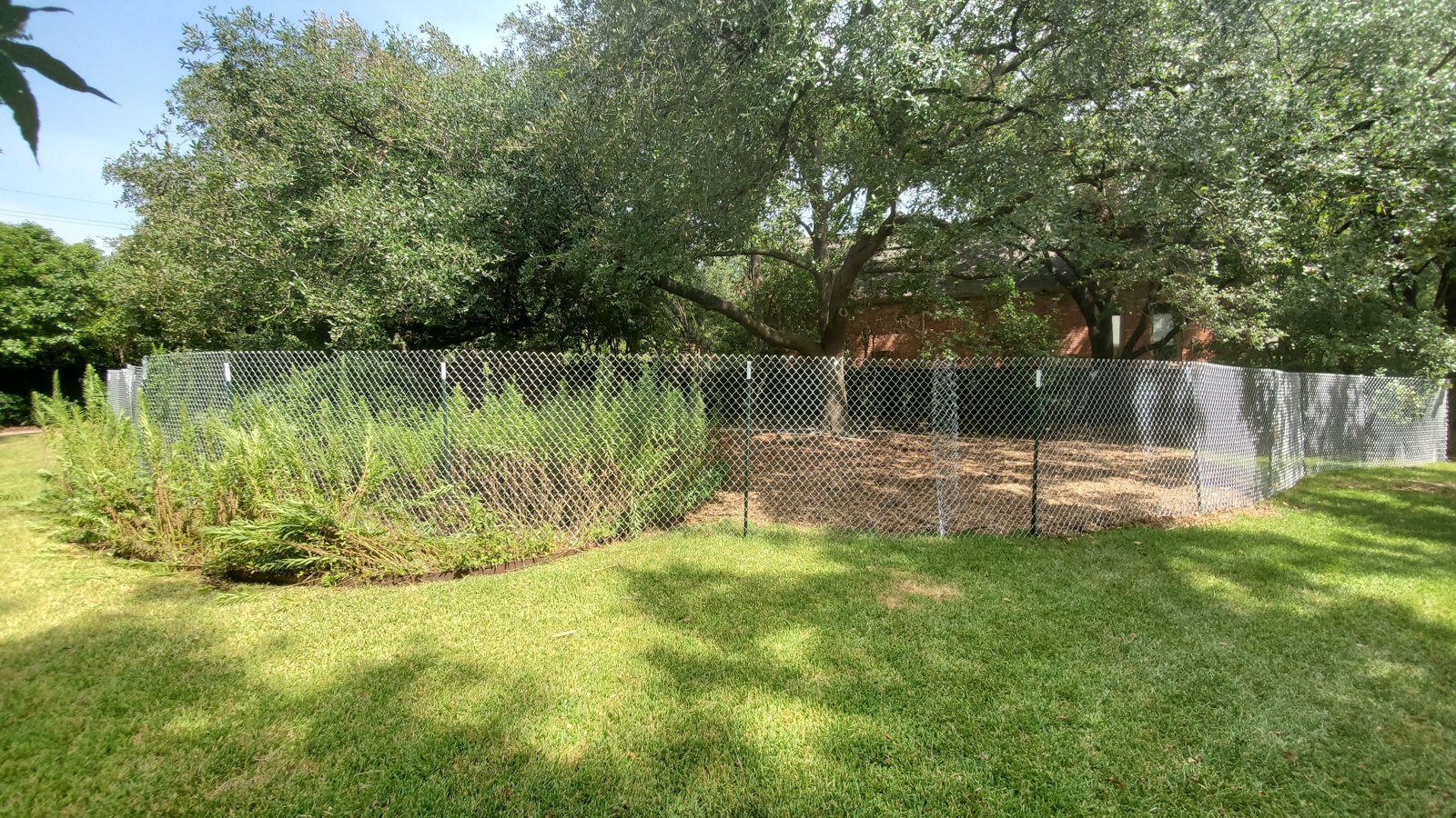 Tree protection fencing set at the drip line of preserved trees