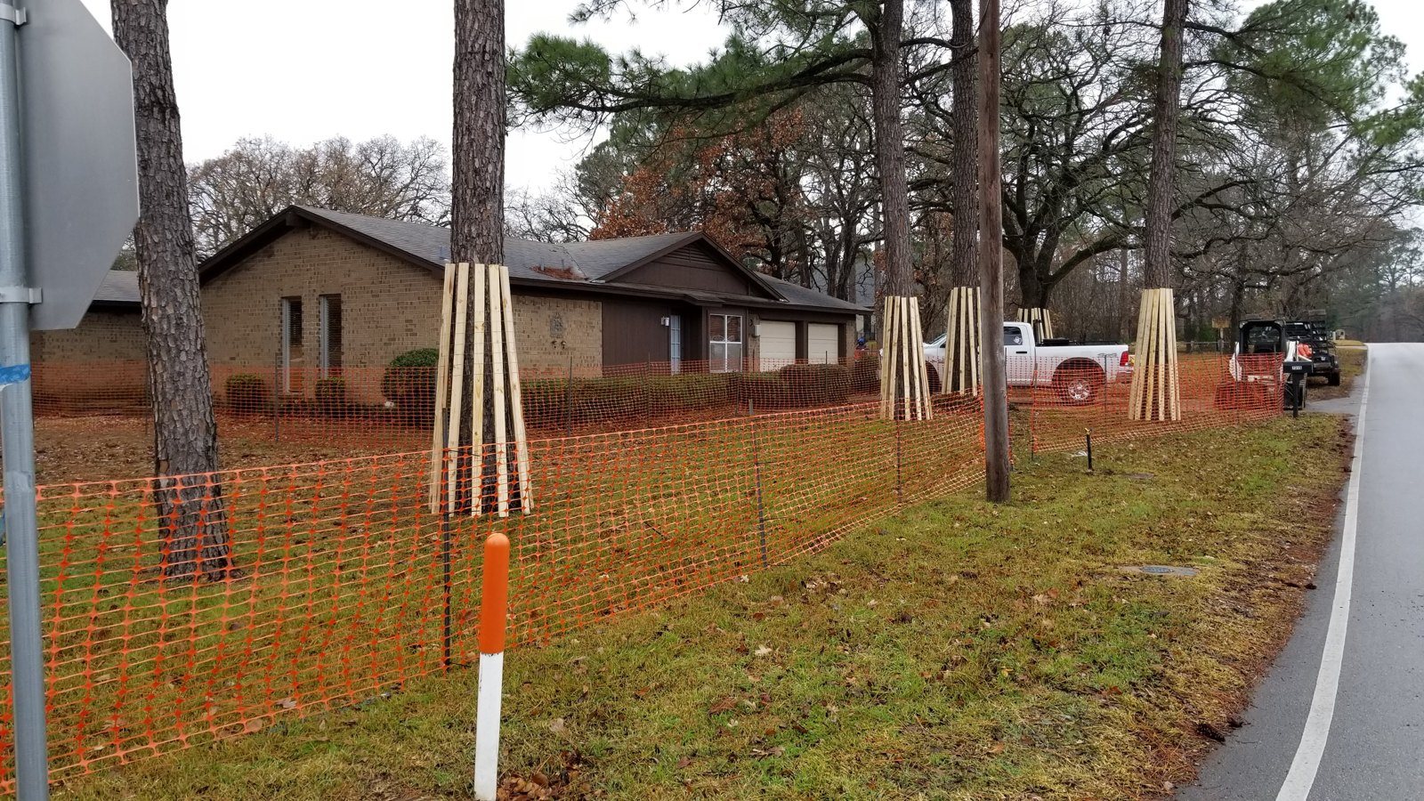 Board trunk protection strapped around preserved trees inside orange safety fence