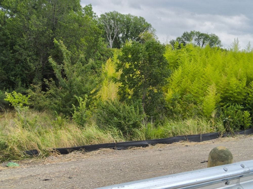 Silt fence protecting a wooded creek buffer on a Dallas County site