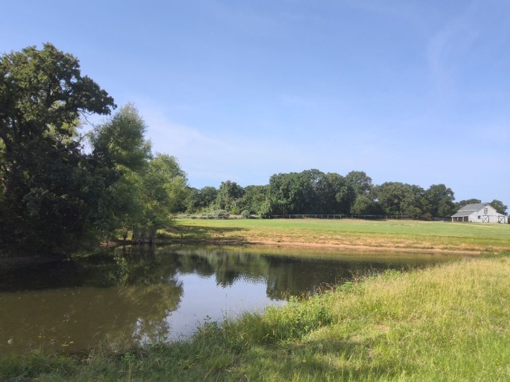 A vegetated buffer holding the bank of a pond on a Keller project site